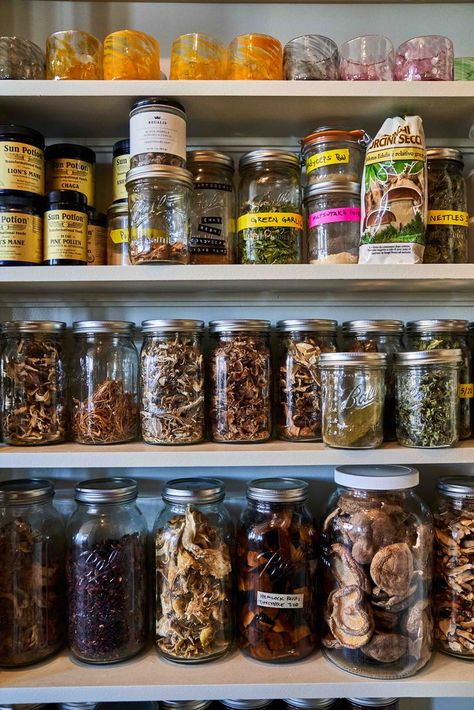 Dream Fridge, Plum Vinegar, Cap Beauty, Mushroom Broth, Mushroom Powder, Dried Mushrooms, Behind Closed Doors, The Way Back, Tropical Party