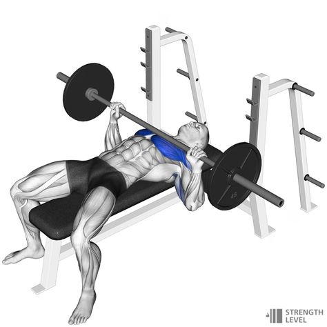 CHEST & TRICEPS  CHEST INCLINE PRESS (DUMBELLS/SMITH MACHINE) BENCH AT 45° 4 x 8 ￼ FLAT PRESS (DUMBELLS/SMITH MACHINE) 4 x 8  ￼ CABLE FLYS  INCLINE (HANDLES AT TOP OF MACHINE) 3 x 8 DECLINE (HANDLE AT BOTTOM OF MACHINE) 3 x 8 ￼  TRICEPS CABLES OVERHEAD SKULL CRUSHERS (PREACHER BAR) (I USUALLY SET AT HEAD HIGHT) 4 x 8 ￼ PUSHDOWNS 3 x 8 ￼ ROPE EXTENSIONS  3 x 8  ￼    AFTER WEEK 2, IF YOU CAN DO MORE THAN 8 REPS, GO TILL FAILURE THEN UP THE WEIGHT ON NEXT SET. Cable Flys, Incline Press, Skull Crushers, Smith Machine, Bench, Handles, Cable, Bar, Quick Saves