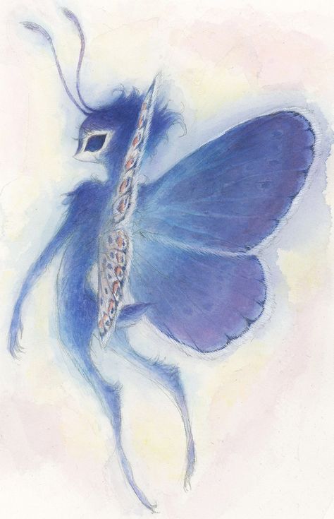 Blue Fairy, Mythological Creatures, Ethereal Art, Fairy Art, Star Wars Art, Creature Design, Creature Art, Pretty Art, Drawing Inspiration