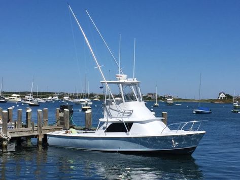 Bertram Boats, Blue Marlin, Shelter Island, Old Boats, Cool Boats, Classic Boats, Side Window, Water Skiing, Rhode Island