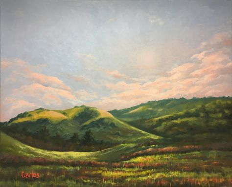 Hills Drawing, Rolling Hills Painting, East San Jose, Hills Painting, Hill Painting, Siding Paint, Scenery Paintings, Dog Painting, Painting Inspo