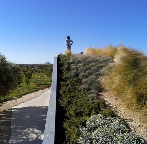 La Marseta Country House,© David Frutos Extensive Green Roof, Sponge City, Earth Sheltered, Living Roofs, Pergola Attached To House, Rooftop Garden, Diy Pergola, Roof Garden, Sustainable Architecture