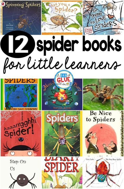 Our 12 favorite spider books are perfect for your Halloween or fall lesson plans. These are great for preschool, kindergarten, or first grade students. Spiders Preschool, Bats Unit, Spider Unit, Halloween Lesson Plans, The Very Busy Spider, Spider Book, Fall Lesson Plans, Spider Theme, Halloween Lesson