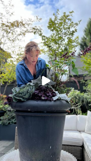 Maison de Mardi Jardin - Mardi MacDonald on Instagram: "Planting my favourite colour combo trending this Fall: rich, dark raspberry/purple paired with grey/silver.

Featured:
Salvia
Japanese Fern
Fountain Grass
Angel Wings
Ornamental Cabbage
Oxalis
.
.
.
.
.
.
#customplanting #customcontainerplanting #falltrends #containergarden #fallcontainers #fallcontainergardening #fallplanting #fallplanters #naturalarrangements #femaleentrepreneurs #yvrsmallbusiness #seasonalplanters #containerplanting #planterdesign #seasonaldecor" Japanese Fern, Fall Container Gardens, Ornamental Cabbage, Fountain Grass, Fall Containers, Fall Planters, Planter Design, Colour Combo, Favourite Colour