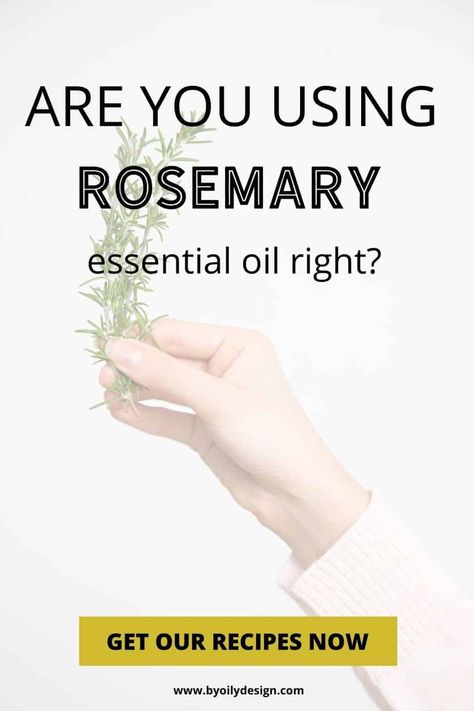 Try our fabulous smelling diffuser recipes featuring Rosemary essential oil. Plus we show you several other great benefits of Rosemary oil and how to use it to get the most out of your Rosemary Oil. Rosemary Oil Benefits Skin Care, Rosemary Essential Oil Diffuser Blends, Rosemary Essential Oil Blends, Rosemary Oil Benefits, Pure Rosemary Oil, Benefits Of Rosemary Oil, What Is Rosemary Essential Oil Good For, Make Rosemary Oil, Diffuser Benefits