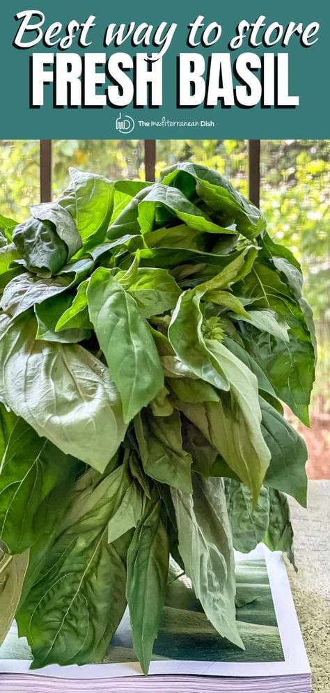 #1 BEST Hack for How to Store Basil and Keep it Fresh | The Mediterranean Dish