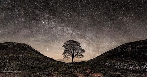 Reposting @markmcneillphoto: Sycamore gap hdr look 👀 what a beautiful view at 2am  #naturephotography #ourplanetdaily #natureart  #wanderlust #instatravel #travelgram #awesomeearth #travelphoto  #igtravel #travelwithme #exploretheworld #bevisuallyinspired #beautifuldestinations #earthfocus #lightuptheroad #beautifuloutdoors #capturetheoutdoors #roamtheplanet #welivetoexplore #rsa_photo_of_the_day #rsa_night #sycamoregap #nightshot Sycamore Gap, Vincent Art, Biblical Paintings, Sycamore Tree, Circle Tattoos, Hadrians Wall, Tree Felling, Nikon D810, Travel Pics