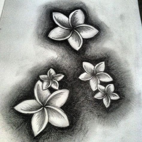 Plumeria Tattoo Designs, Polynesian Flower Tattoo, Plumeria Flowers Drawing, Hawaiian Plumeria Tattoo For Women, Plumeria Flower Tattoos Hawaii, Hawaii Flower Tattoo Plumeria, Beautiful Small Tattoos For Women, Frangipani Drawing Sketches, Plumeria Flower Tattoos Black And White