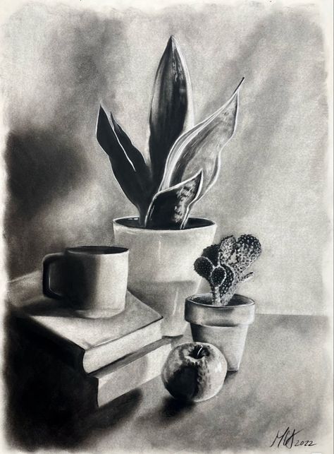 5 Object Still Life, Still Life Charcoal Sketch, Still Life Ideas Drawing Art Students, Charcoal Glass Drawing, Still Life Ink Drawing, Charcoal Art Still Life, Academic Still Life Drawing, Graphite Still Life, Still Life Sketch Realistic