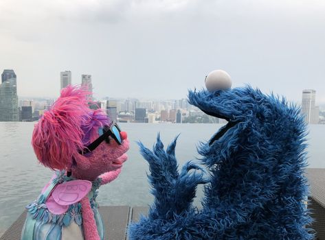 Sesame Street on Twitter: "Tag your bestie to remind them that it's FRIDAY! #FridayFeeling https://t.co/Cceq9BSyLK" / Twitter Seaseme Street, It's Friday, Jim Henson, Kawaii Wallpaper, Laptop Wallpaper, Cookie Monster, Great Memories, Really Funny Pictures, Monster Cookies