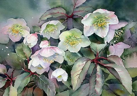 Ann Mortimer WATERCOLOR Ann Mortimer, Negative Painting, Colour Flowers, Watercolour Flowers, 수채화 그림, Flower Paintings, Painting Flowers, Watercolor Inspiration, Watercolor Artist