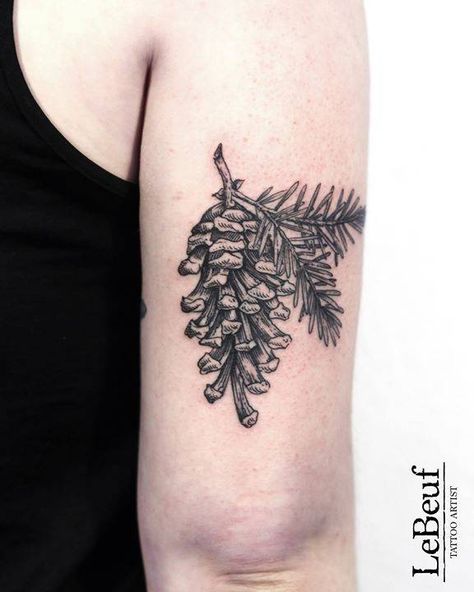 Conifer Tattoo, United States Culture, Ship Wheel Tattoo, Cone Tattoo, Conifer Cone, Tricep Tattoos, Globe Tattoos, Common Tattoos, Wheel Tattoo