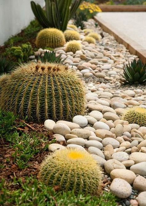 25 Beautiful Desert Landscaping Ideas | Home Design And Interior Desert Backyard, Kaktus Dan Sukulen, Succulent Landscape Design, Succulent Landscaping, Desert Garden, Low Maintenance Garden, Cactus Garden, Landscaping Plants, Desert Landscaping