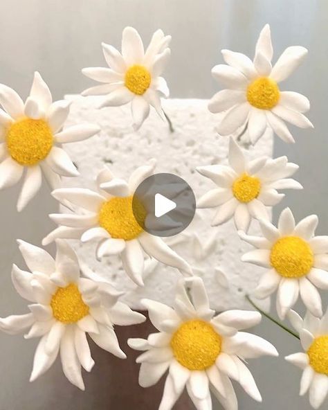 Daisy Cakes, Luxury Wedding Cake, Gum Paste Flowers, Sugar Craft, Cake Videos, Flower Therapy, Cake Tutorial, Sugar Flowers, Youtube Tutorials