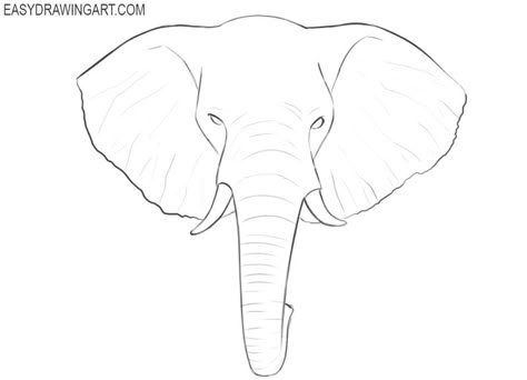 How to Draw an Elephant Head | Easy Drawing Art Elephant Painting Canvas Step By Step, How To Draw An Elephant Step By Step, Draw Elephant Easy, How To Draw An Elephant, Animal Head Drawing, Elephant Drawing For Kids, Elephant Face Drawing, Elephant Head Drawing, Elephant Art Drawing