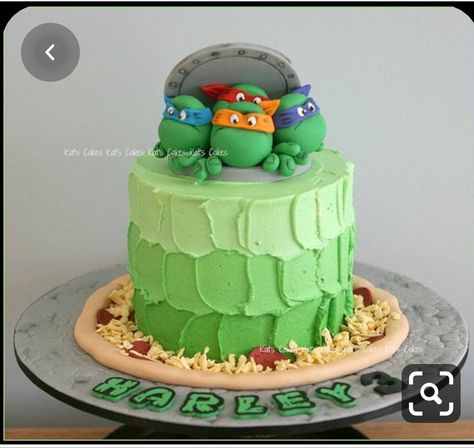 Turtle Cakes, Kindergarten Snacks, Ombre Buttercream, Ninja Turtle Birthday Cake, Turtle Birthday Cake, Teenage Mutant Ninja Turtle Cake, Tmnt Cake, Turtle Birthday Parties, Tmnt Birthday