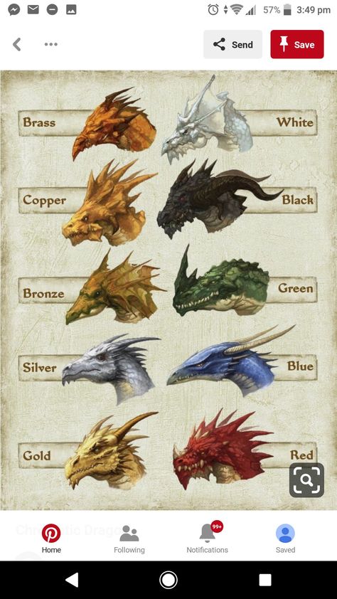 Different Kinds Of Dragons, Types Of Dragons Mythical Creatures, Types Of Dragons Chart, Dragon Species Guide, Fourth Wing Dragon Types, Dragon Information, Dragon Types, Dragon Species, Order Of The Dragon