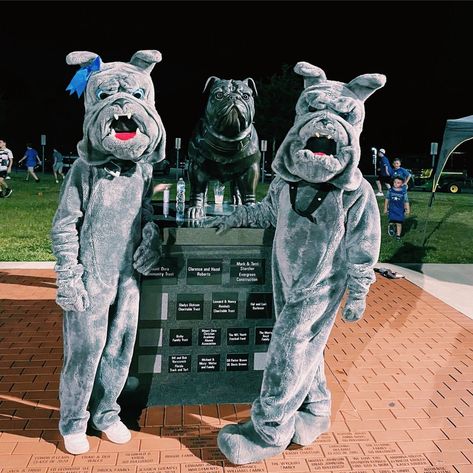 Bulldogs Mascot, Bulldog Mascot, Student Government, American High School, High School Football, Spirit Week, School Football, Bulldog, Government