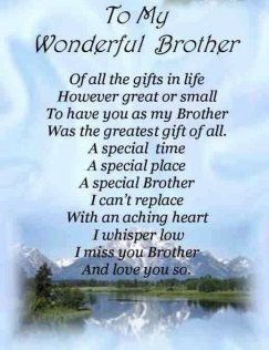 When You Lose A Brother, Poem For Brother From Sister, Eulogy For Brother From Sister, Missing My Brother Quotes From Sister, Losing Your Brother Quotes, In Loving Memory Quotes Brother, Remembering Brother Who Passed, Losing A Loved One Quotes Brother, Brother Love Quotes From Sister