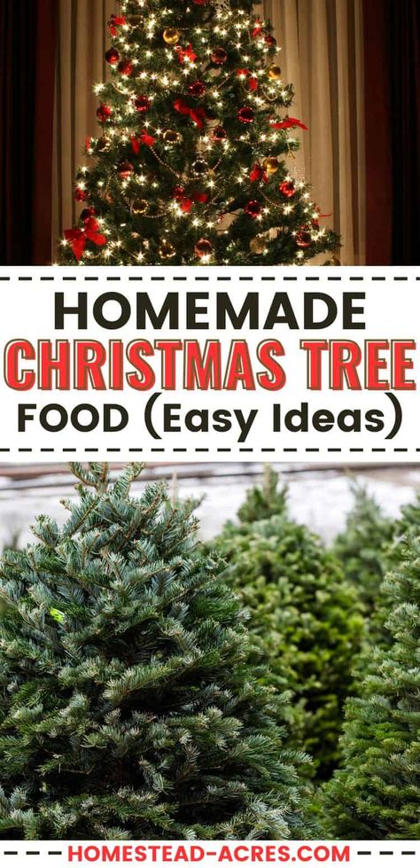 Christmas Tree Preservative, Food Christmas Tree, Make Your Own Christmas Tree, Christmas Tree Care, Christmas Tree Water, How To Make Trees, Christmas Tree Food, Natural Christmas Tree, Homemade Christmas Tree