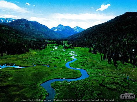 Christmas Meadows Campground, Uinta-Wasatch-Cache National Forest - Recreation.gov Utah Camping, Atv Riding, Mirror Lake, Alpine Lake, Scenic Byway, Scenic Beauty, Trail Riding, I Want To Travel, Still Water