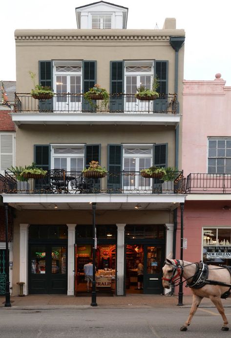 French Quarter Architecture, French Quarter Courtyards, New Orleans Architecture French Quarter, New Orleans Style Decor, New Orleans Exterior, French Quarter Homes, New Orleans Houses, French Quarter Decor, Summer Room Ideas