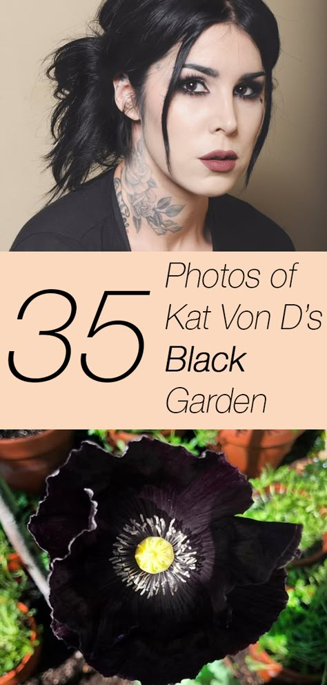 Kat Von D has an all-black flower garden — and it's stunning. See 35 photos from her black garden and prepare to get inspired! Eerie Photos, Garden Outfit, Moody Gardens, Gothic Flowers, Goth Garden, Garden Art Ideas, Gothic Garden, Black Garden, Moon Garden