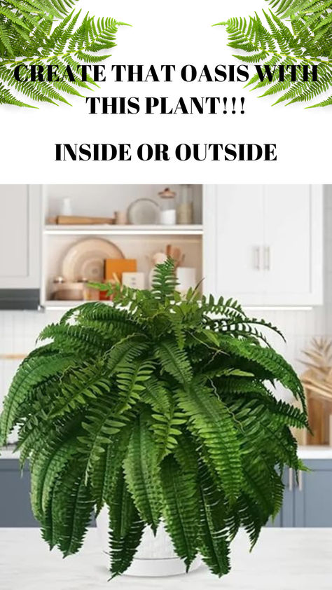 DON'T FORGET TO CLICK THE COUPON!!

Elevate your outdoor decor with our lifelike faux ferns, which feature slender and wide leaves with sword-shaped fronds for a realistic appearance. Whether placed in planters, on patios, or as fence covers, these artificial ferns add a touch of elegance to your front porch or outdoor space. Types Of Ferns Indoor, How To Make Ferns Grow Big, Giant Chain Fern, Fern Varieties Outdoor, Variegated Boston Fern, Large Outdoor Planters, Boston Fern, Outdoor Planters, Fence