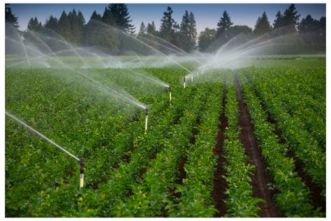 Agriculture Photography, Hydroponic Grow Systems, Irrigation Controller, Water Irrigation, Farm Business, Water Waste, Water Valves, Sprinklers, Water Resources