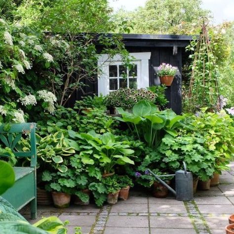 Taki efekt chcę osiągnąć :-) Small Cottage Garden Ideas, Tiny Gardens, Shade Garden Design, Yard Deck, Lots Of Plants, Garden Goals, Plant Containers, Gardening Design, Gladioli