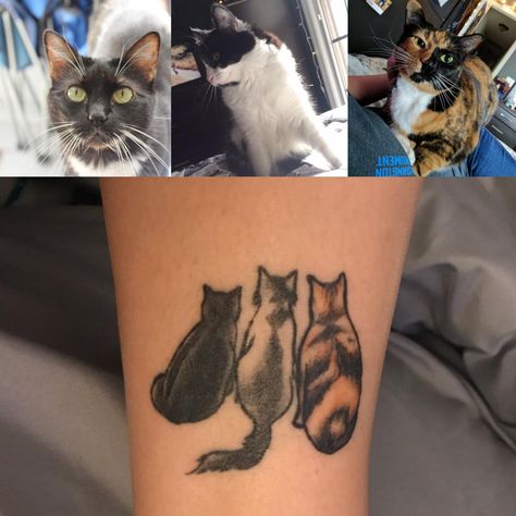 My babies will always be a part of me Cat Tattoo Designs 3 Cats, Three Cat Tattoo Design, Multi Cat Tattoo, 3 Cat Tattoo Ideas, Multiple Cat Tattoo, Tortie Cat Tattoo, 3 Cat Tattoo, Three Cats Tattoo, 3 Cats Tattoo