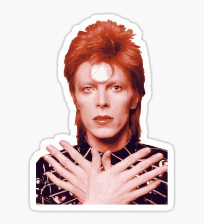 Ziggy Stardust, Door Stickers, Funny Profile Pictures, Stickers For Sale, Poster Stickers, Cool Stickers, Printable Stickers, David Bowie, Stardust