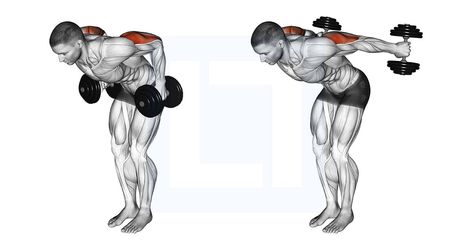 Triceps Kickback, Tricep Workouts, Dumbbell Workouts, Tricep Kickback, Gym Workout Program, Workout Routine For Men, Workout Program, Triceps Workout, Dumbbell Workout