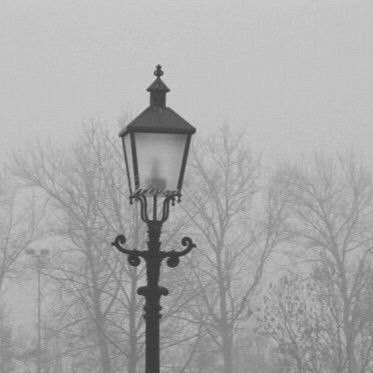 Lamp Post, Trees, Road