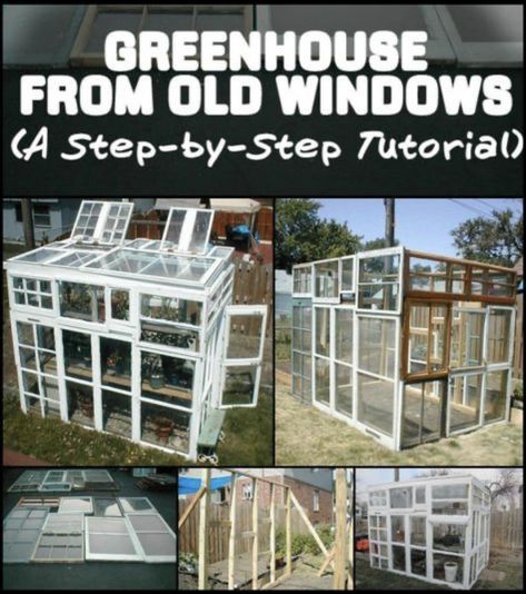 Green House From Old Windows, Greenhouse Old Windows, Garden Shed Design, Greenhouse From Old Windows, Old Window Greenhouse, Shed Greenhouse, Window Greenhouse, Cheap Greenhouse, Greenhouse Supplies