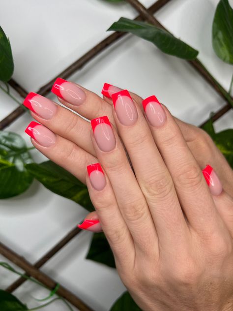 Sculptured French nails by Tammy Taylor South-Africa Sorbet Nails, Taylor Nails, Watermelon Sorbet, Tammy Taylor Nails, Tammy Taylor, French Nails, South Africa, Watermelon, Nail Designs