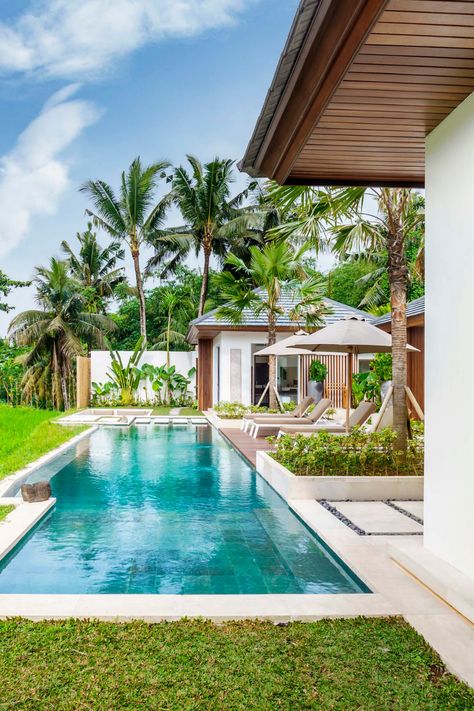 With lush, green rice fields all around, today is all about unwinding by the pool. 🌾💦 With 2 bedrooms and breathtaking views, and just minutes from Ubud center, it’s the perfect escape. Book your stay now and indulge in the ultimate vacation experience with @alfredinbali 🙌 🛏️ 2 Bedrooms 🛁 2 Bathrooms 📍 Ubud, Bali #alfredinbali #VillaSoCocoon Bali Ubud Villa, White Bali Villa, 2 Bedroom Villa, Ubud Villa Private Pool, Villa V Uluwatu, Ubud Villas, Private Villa Bali, Bali Ubud, Outdoor Bathtub