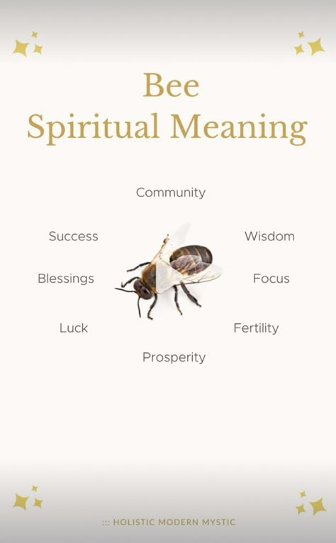 Bumble Bee Spiritual Meaning, Bumble Bee Symbolism, Bee Spiritual Meaning, Animal Omens, Animals Symbolism, Bee Spirit Animal, Pagan Sabbats, Animal Totem Spirit Guides, Backyard Beehive