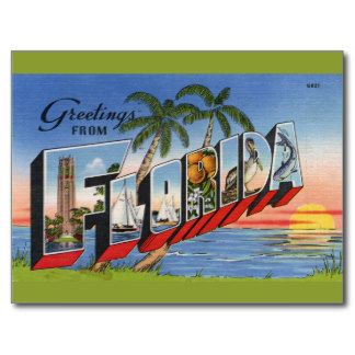 Greetings from Florida Vintage Postcard Beachy Prints, Postcard Display, Florida Postcard, Florida Images, Florida Vintage, Vintage Florida, Frame Matting, Sunshine State, Large Letters