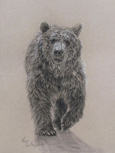 Delicious Drawings | creativeartworksblog Brown Bear Tattoo, Adoption Tattoo, Black Bear Tattoo, Grizzly Bear Tattoos, Bear Sketch, Bear Tattoo Designs, Bear Tattoos, Bear Paintings, Bear Drawing