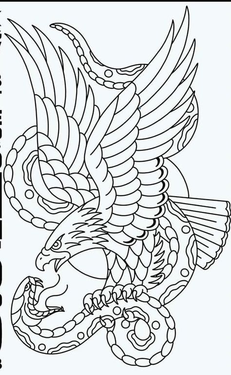 Eagle vs snake Art Flash Art Tattoos, Eagle And Snake, Traditional Tattoo Outline, Tattoo Main, Traditional Eagle, Traditional Eagle Tattoo, Traditional Tattoo Stencils, Traditional Tattoo Sleeve, Snake Tattoo Design