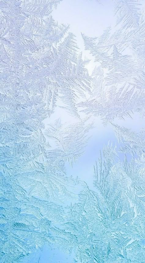 Frozen Background, Cute Blue Wallpaper, Cut Animals, Winter Background, Paper Background Texture, Motion Graphics Design, Iphone Wallpaper Photos, Ocean Wallpaper, Winter Wallpaper