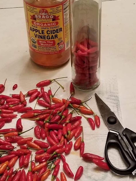 How to Make Your Own Hot Pepper Vinegar ~ Southern Gardening Gal Hot Pepper Vinegar, Peppers In Vinegar, Pepper Vinegar, Preserved Food, Iron Cleaning, Hot Pepper Recipes, Pickled Mango, Preserving Vegetables, Infused Vinegars