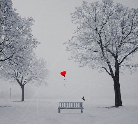 white and red....for someone who really loves hearts, this would make a cute photograph to put into a grouping of pictures. I Love Heart, Red Balloon, Heart Balloons, Winter Wonder, Baby Cold, Heart Art, Dali, Park Bench, San Valentino