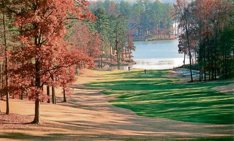 Lake Oconee Ga, Blackberry Farms, Best Places To Vacation, Lake Oconee, Golf Trip, Fall Color, Down South, Best Of The Best, Vacation Destinations