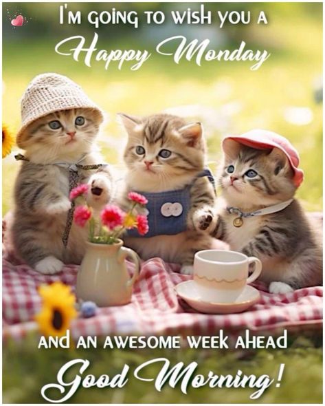 Cute Happy Monday Images, Monday Images Mornings, Good Morning Happy Monday New Week, Good Monday Morning Images, Good Morning Monday Gif, Morning Monday Quotes, Good Morning Quotes Monday, Good Morning Monday Quotes, Monday Good Morning Wishes