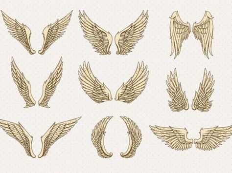 What type of wings do you have Types Of Wings, Cartoon Wings, Types Of Angels, Decorative Set, Drawing Studies, Wings Tattoo, Angel And Devil, Arte Popular, What Type