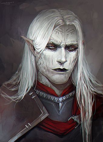 Mroczny Elf, Dnd Elves, Heroic Fantasy, 다크 판타지, Fantasy Races, Dungeons And Dragons Characters, Dnd Art, Dark Elf, Arte Fantasy