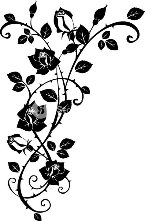 Rose Thorn Tattoo, Rose Vine Tattoos, Tattoo Mafia, Rose With Leaves, Thorn Tattoo, Vine Drawing, Filler Tattoo, Senior Thesis, Rose Drawing Tattoo