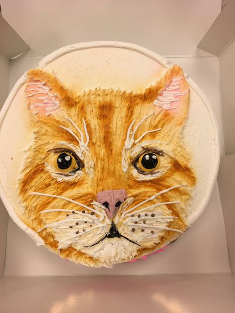 Orange Birthday Cake, Birthday Cake For Cat, 12 Cake, Chocolate Cat, 7th Birthday Cakes, Buttercream Decorating, Cat Birthday Party, Piping Icing, Cat Cake